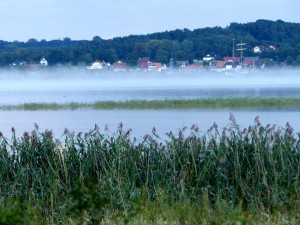 Usedom - Balmer See am Morgen