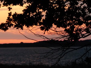 Usedom - Abendstimmung