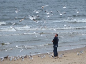 Usedom - Strand von Ahlbeck