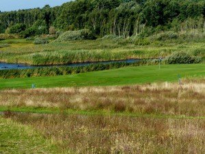 Usedom - Natur pur am Golfplatz